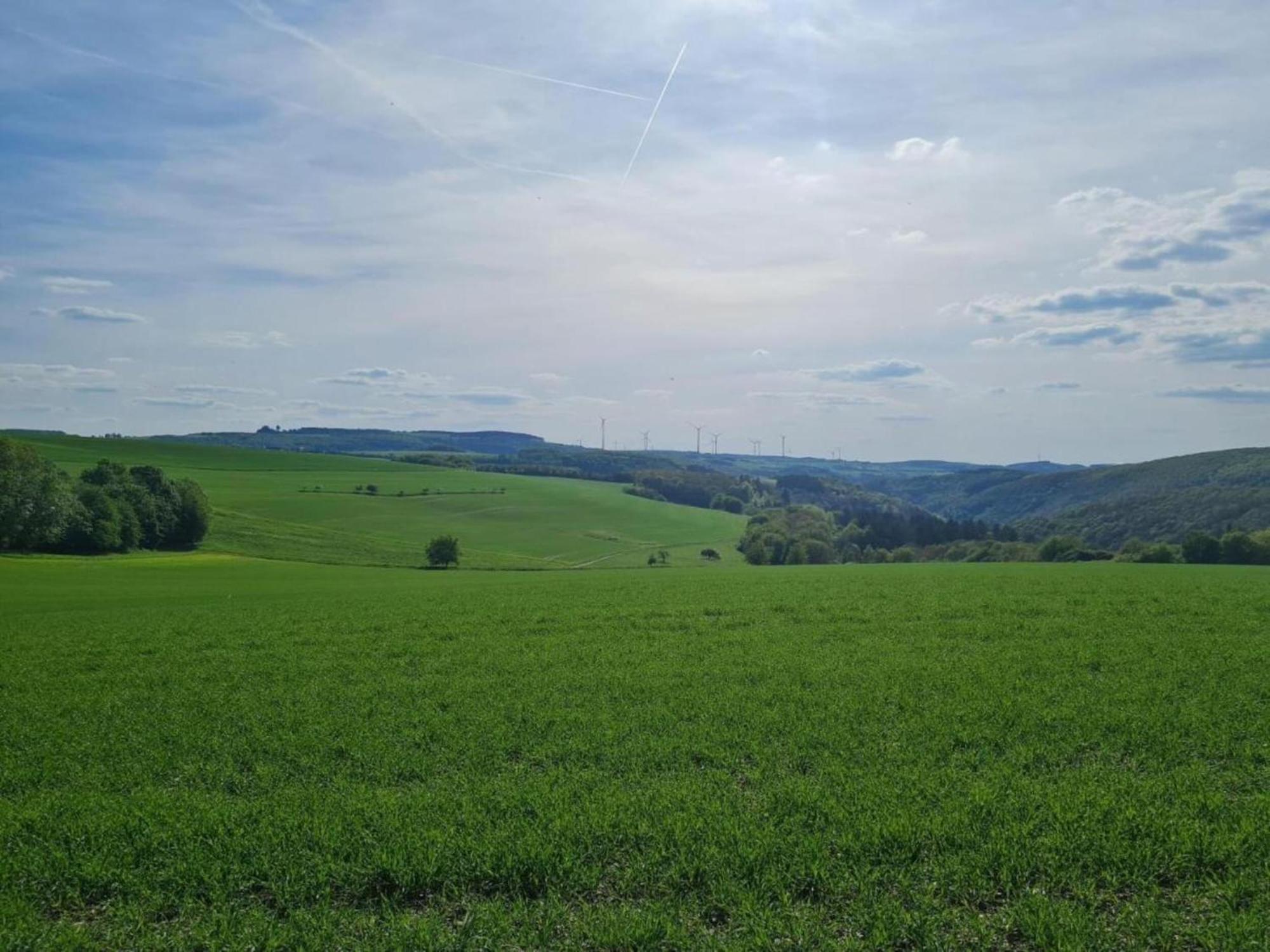 Tranquil Holiday Home In Filz In The Eifel With Garden ภายนอก รูปภาพ
